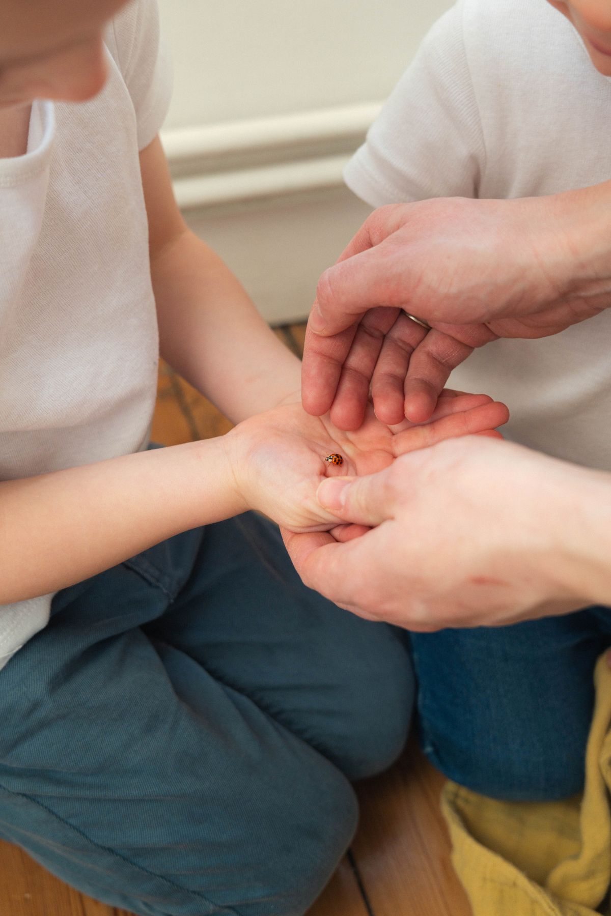 Séance famille et grossesse en normandie-17